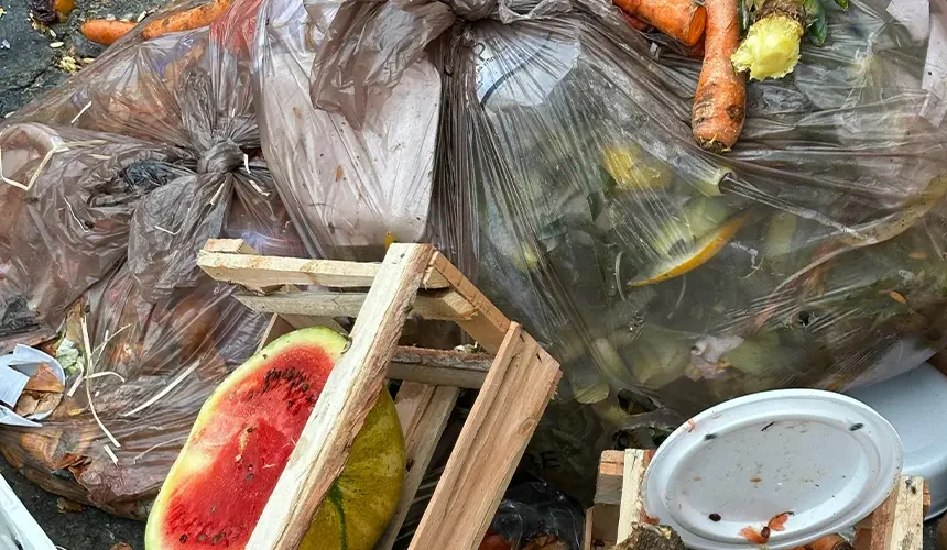 organic-waste-1 organic-waste-1