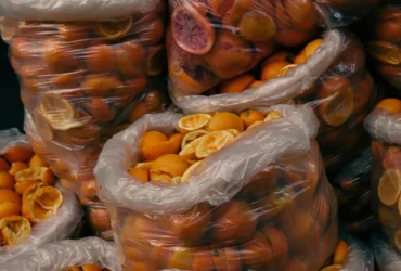 organic-waste organic-waste