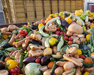 organic-waste-m2 organic-waste-m2